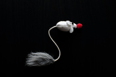 Similar image 21393971