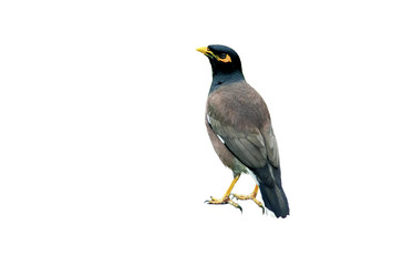 Similar image 21391375