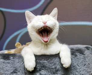 Similar image 21391376