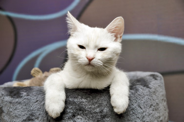 Similar image 21391575