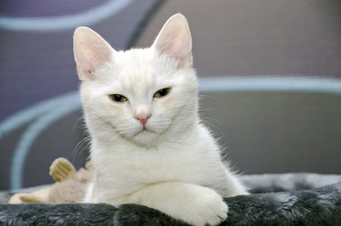 Similar image 21391580