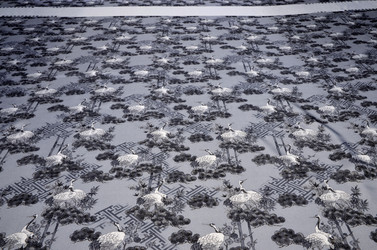 Similar image 21391906