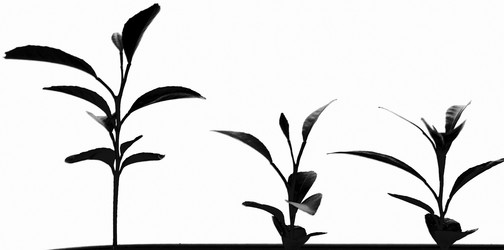 Similar image 21393356