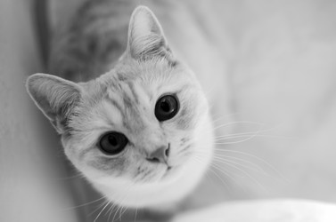 Similar image 21393360