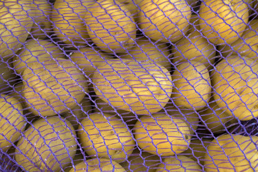 Similar image 21386778