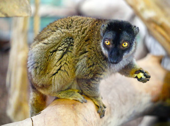 Similar image 21419438