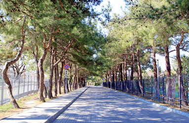 Similar image 21419454