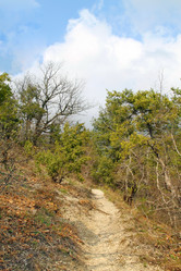 Similar image 21419455