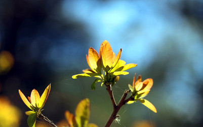 Similar image 21419460