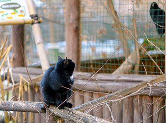 Similar image 21419471