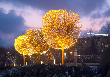 Similar image 21419478