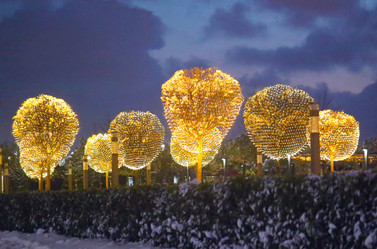 Similar image 21419486