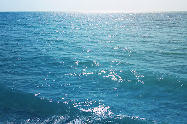 Similar image 21419558