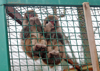 Similar image 21419561