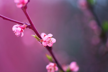 Similar image 21419417