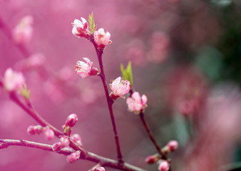 Similar image 21419420