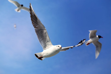 Similar image 21419426