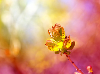 Similar image 21419491