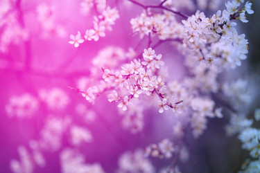 Similar image 21419495