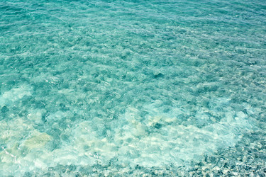 Similar image 21419497