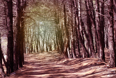 Similar image 21419499