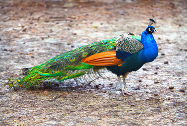 Similar image 21419500