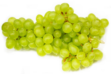 Similar image 21419501