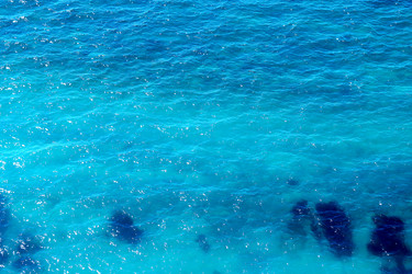 Similar image 21419508