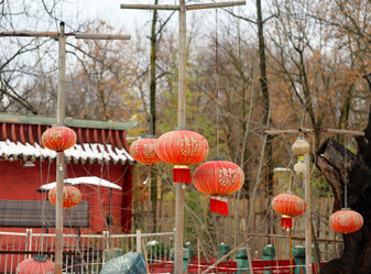 Similar image 21419509