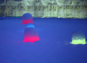 Similar image 21419511