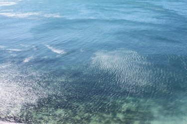 Similar image 21419522