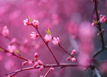 Similar image 21419526