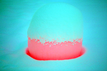 Similar image 21419527