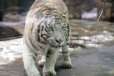 Similar image 21419530