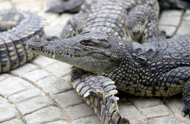 Similar image 21419531