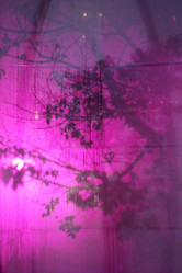 Similar image 21419532