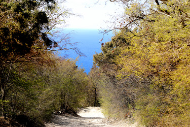 Similar image 21419535