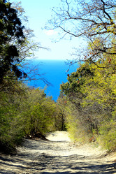 Similar image 21419537