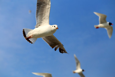 Similar image 21419543