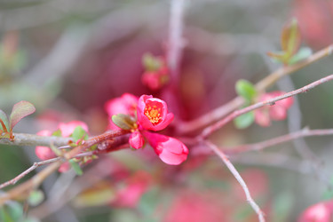 Similar image 21419549