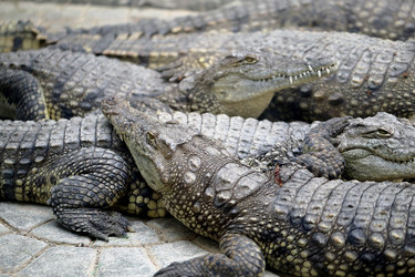 Similar image 21419568