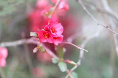 Similar image 21419570