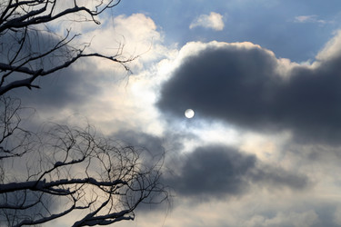 Similar image 21419573