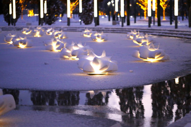 Similar image 21419577