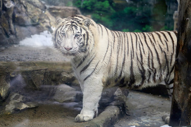 Similar image 21419583