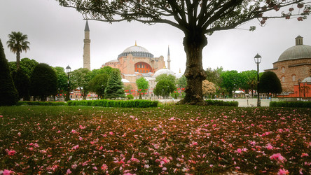 Similar image 21391179