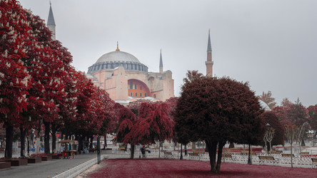 Similar image 21391622