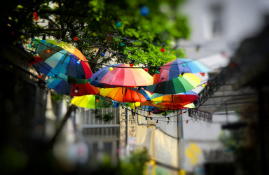 Similar image 21391949