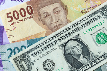 Similar image 21392429