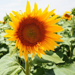 Similar image 21390686